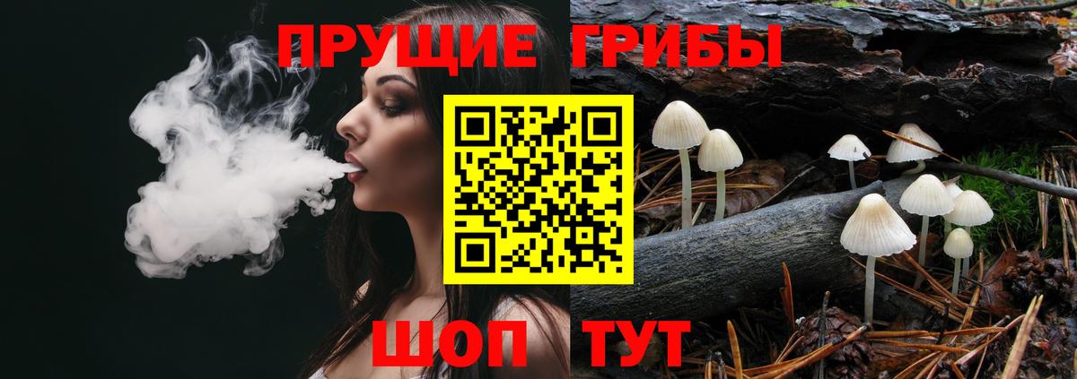 Галлюциногенные грибы мицелий Киров